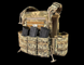 Комплект PLATE CARRIER "Штурм-1" MM-14 FULL shurm-1PF фото 1